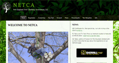 Desktop Screenshot of newenglandtreeclimbing.com